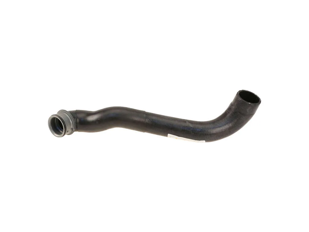 2002 Mercedes-Benz C240 Radiator Coolant Hose  - Lower Burgaflex