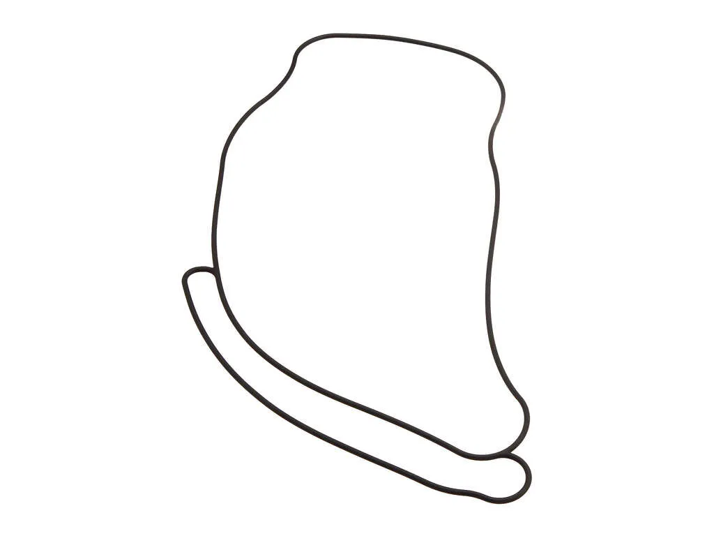 1995 Acura Legend Engine Water Pump Gasket Nippon Reinz