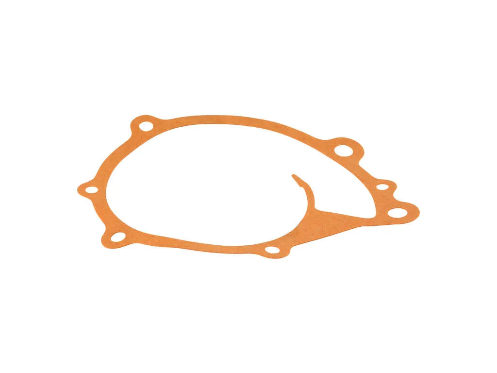 1968 Nissan 510 Engine Water Pump Gasket Nippon Reinz