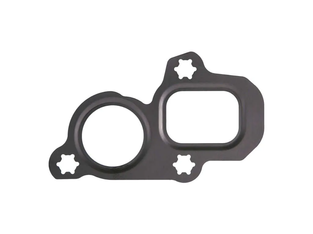 2019 Chevrolet Express 2500 Engine Water Pump Gasket 6 Cyl 4.3L Fel-Pro