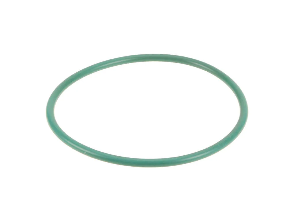 2007 Kia Optima Fuel Pump Tank Seal Genuine