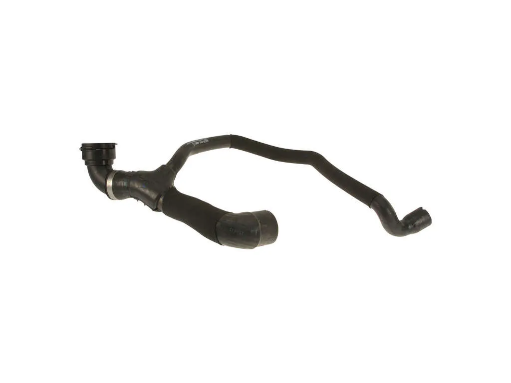 2004 Mercedes-Benz CL600 Radiator Coolant Hose  - Lower Genuine