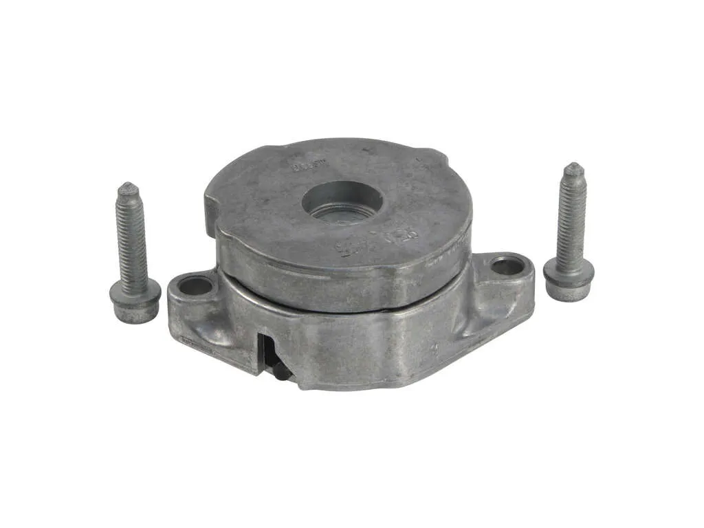 1996 Volkswagen EuroVan Accessory Drive Belt Tensioner INA