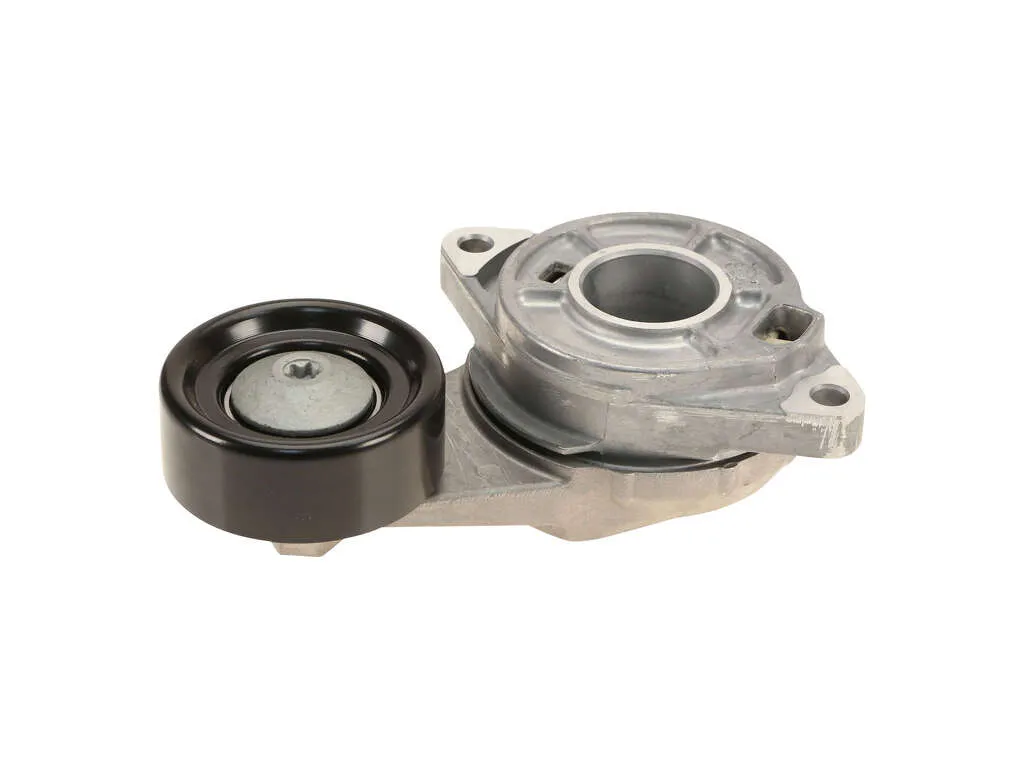 2010 Honda Fit Accessory Drive Belt Tensioner Assembly INA