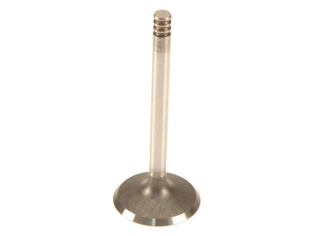 2004 Volkswagen Jetta Engine Intake Valve TRW