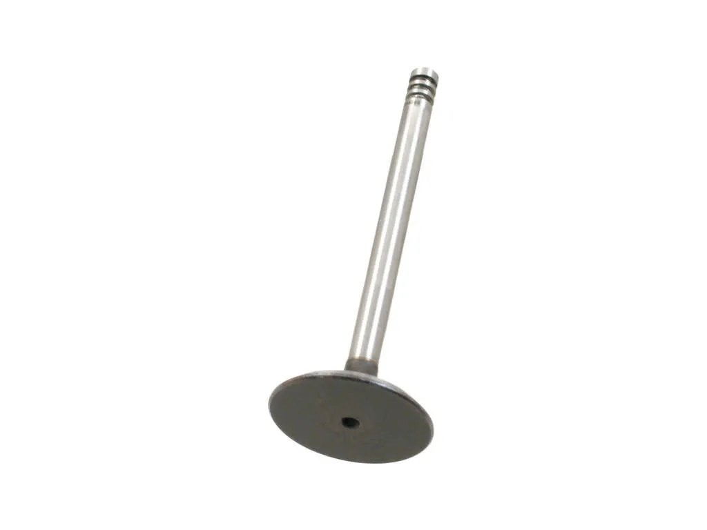 1997 Volkswagen Passat Engine Intake Valve AE