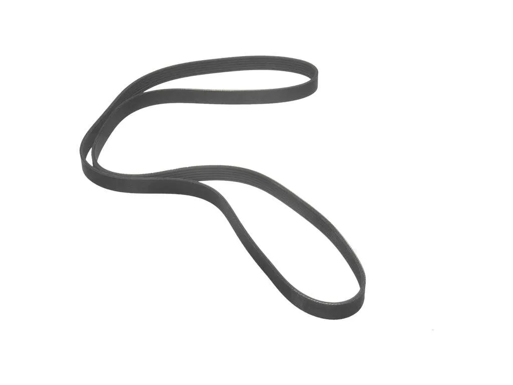 2010 Chevrolet Corvette Accessory Drive Belt  - Primary 8 Cyl 6.2L ContiTech