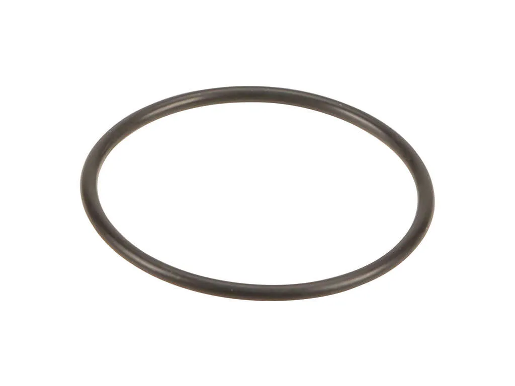 1995 Mercedes-Benz E320 Engine Water Pump O-Ring Victor Reinz