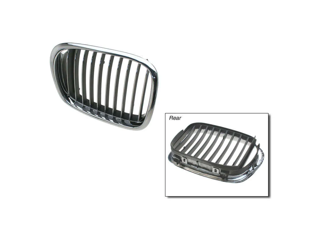 2002 BMW 540i Grille  - Right Trucktec