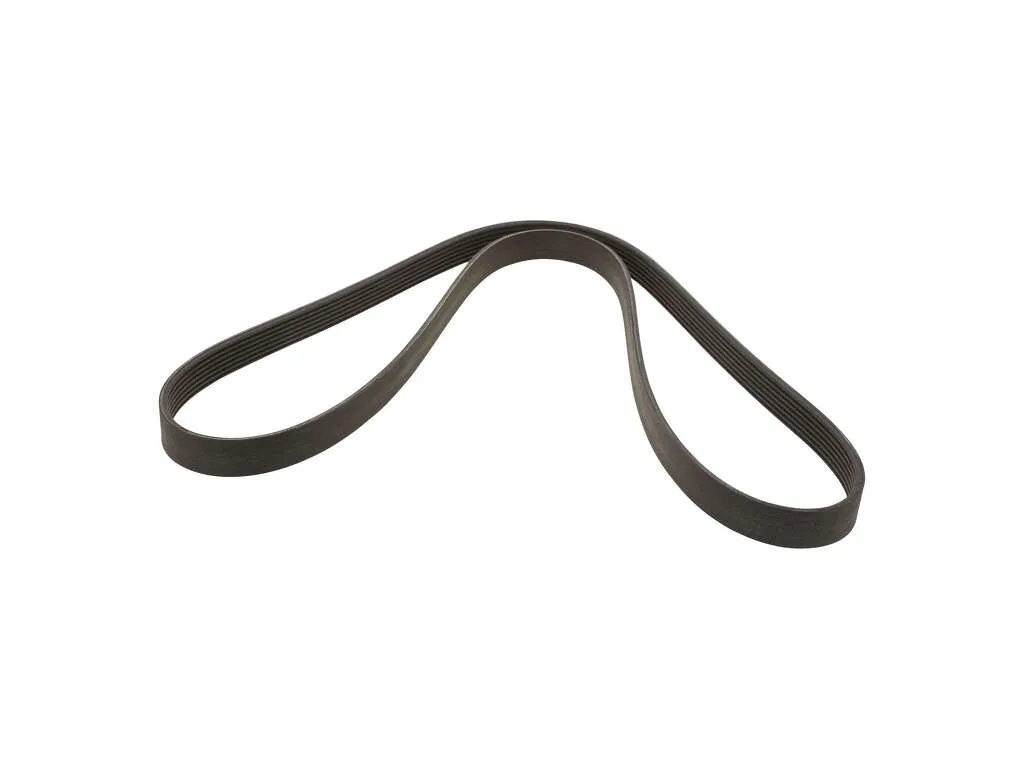 2003 BMW X5 Accessory Drive Belt  - Primary 8 Cyl 4.6L ContiTech