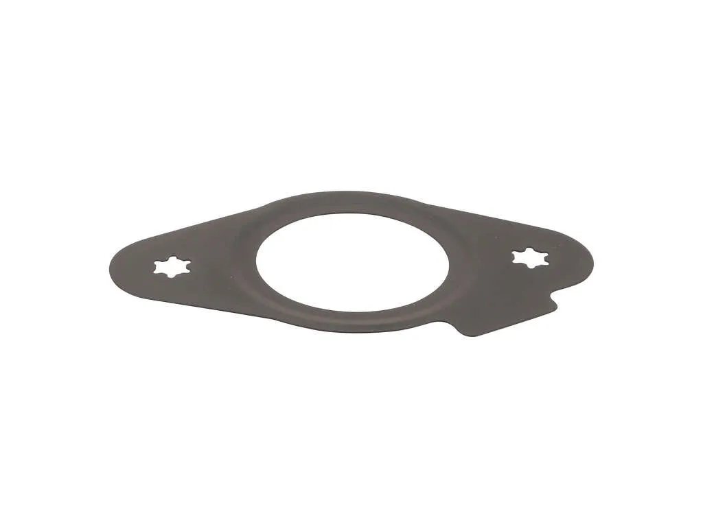 2017 Chevrolet Camaro Fuel Pump Gasket 4 Cyl 2.0L Elring