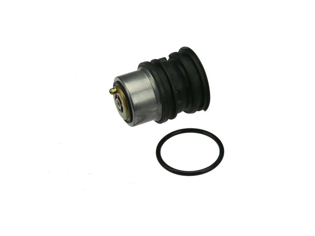 2018 Porsche Cayenne Engine Coolant Thermostat APA/URO Parts