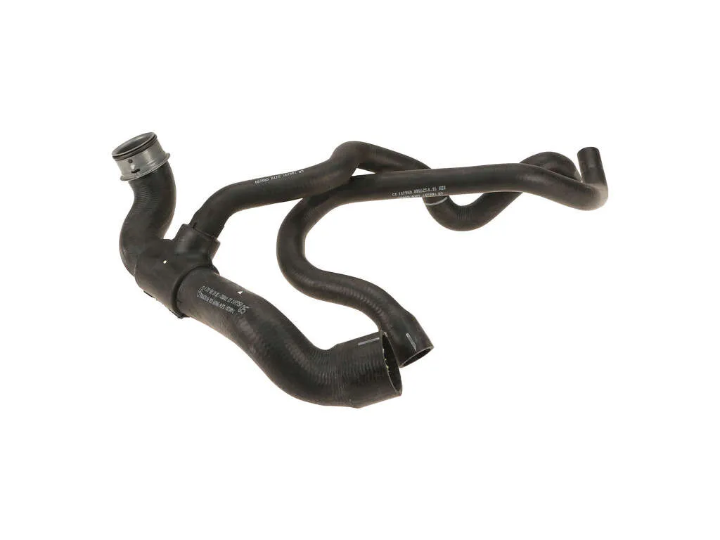 2004 Mercedes-Benz CLK500 Radiator Coolant Hose  - Lower Genuine