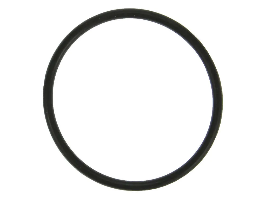 2017 Ford Transit-350 HD Engine Coolant Thermostat Seal 6 Cyl 3.7L Fel-Pro