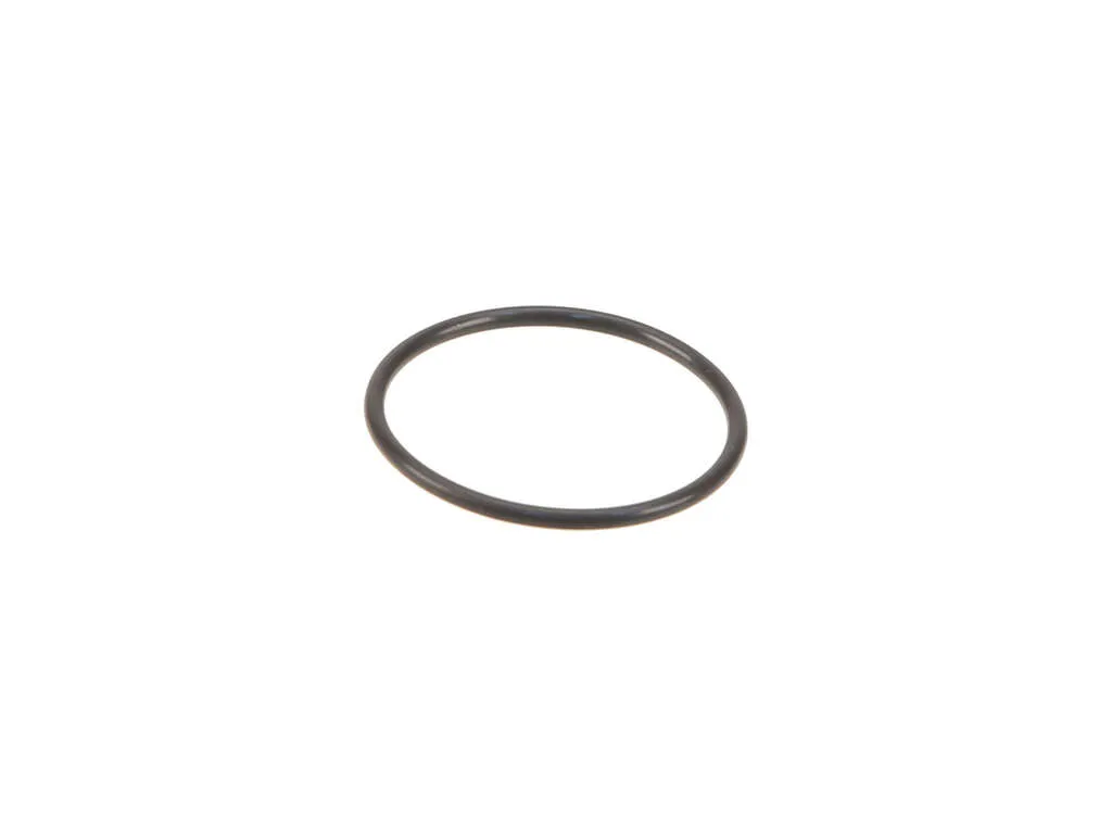 2018 Ford Flex Fuel Pump Gasket Genuine