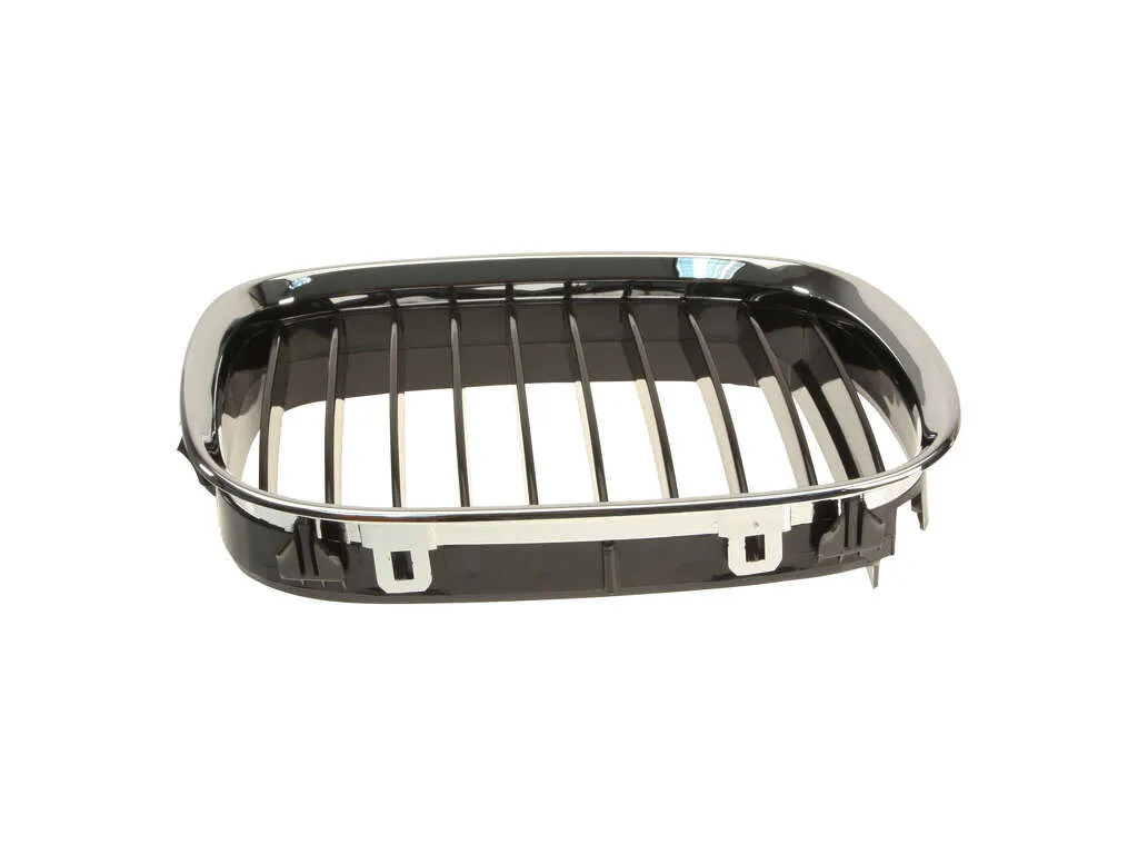2000 BMW 540i Grille  - Right Trucktec