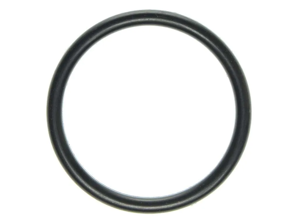 2017 Ford Transit-350 HD Engine Coolant Outlet O-Ring 5 Cyl 3.2L Mahle