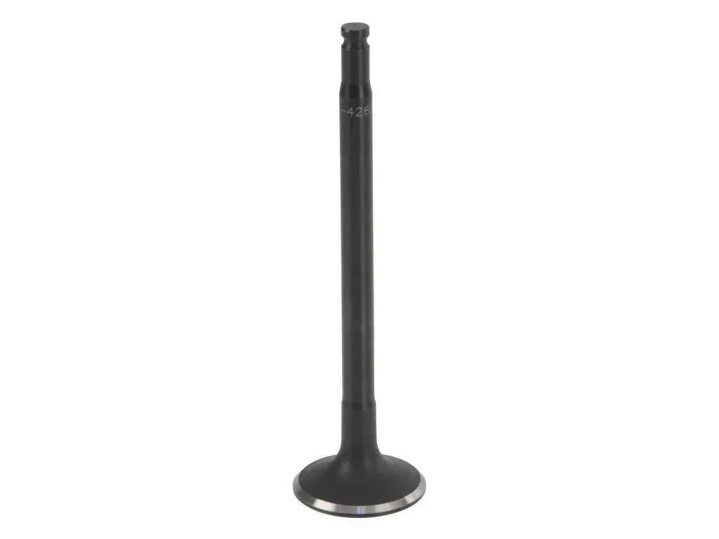 2003 Dodge Sprinter 2500 Engine Intake Valve Mahle