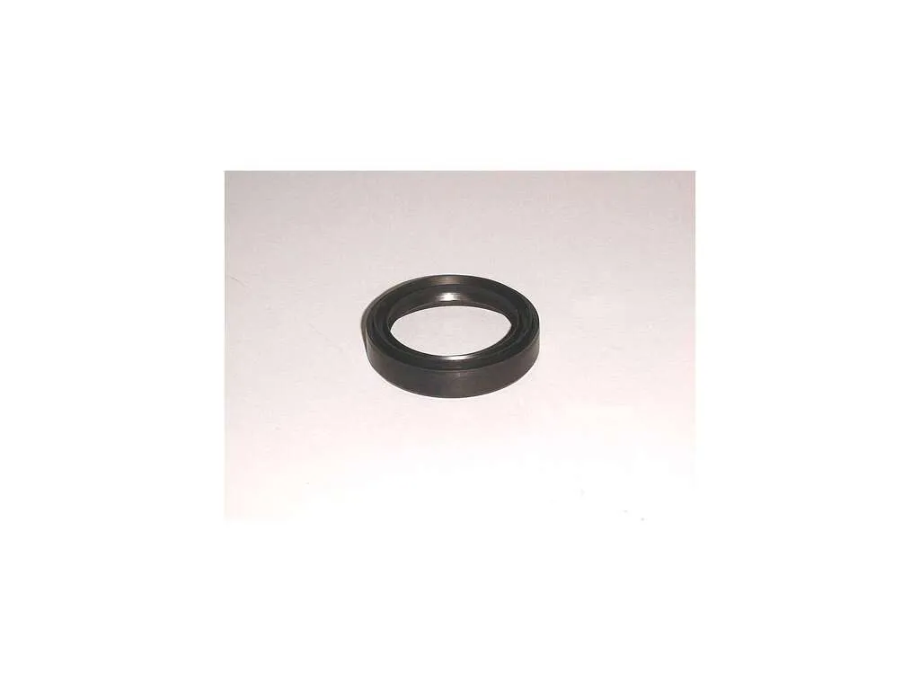 1985 Dodge Colt Wheel Seal  - Front Payen