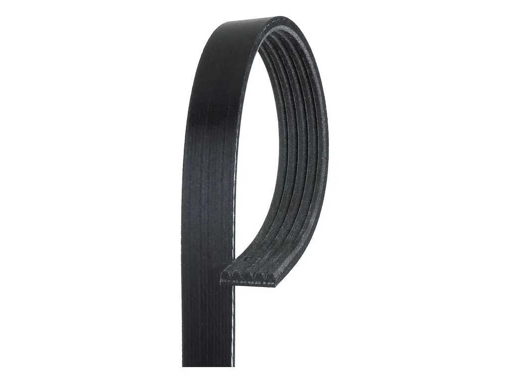 2004 Chevrolet Malibu Accessory Drive Belt 4 Cyl 2.2L Gates