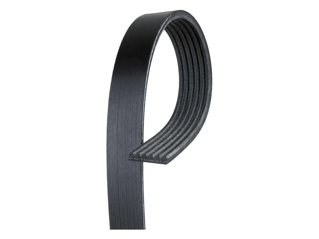 1996 Honda Accord Accessory Drive Belt 4 Cyl 2.2L Gates