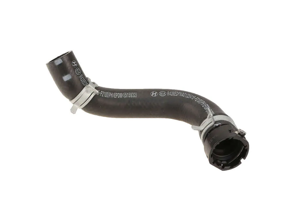 2018 Hyundai Elantra Radiator Coolant Hose  - Lower 4 Cyl 2.0L Genuine