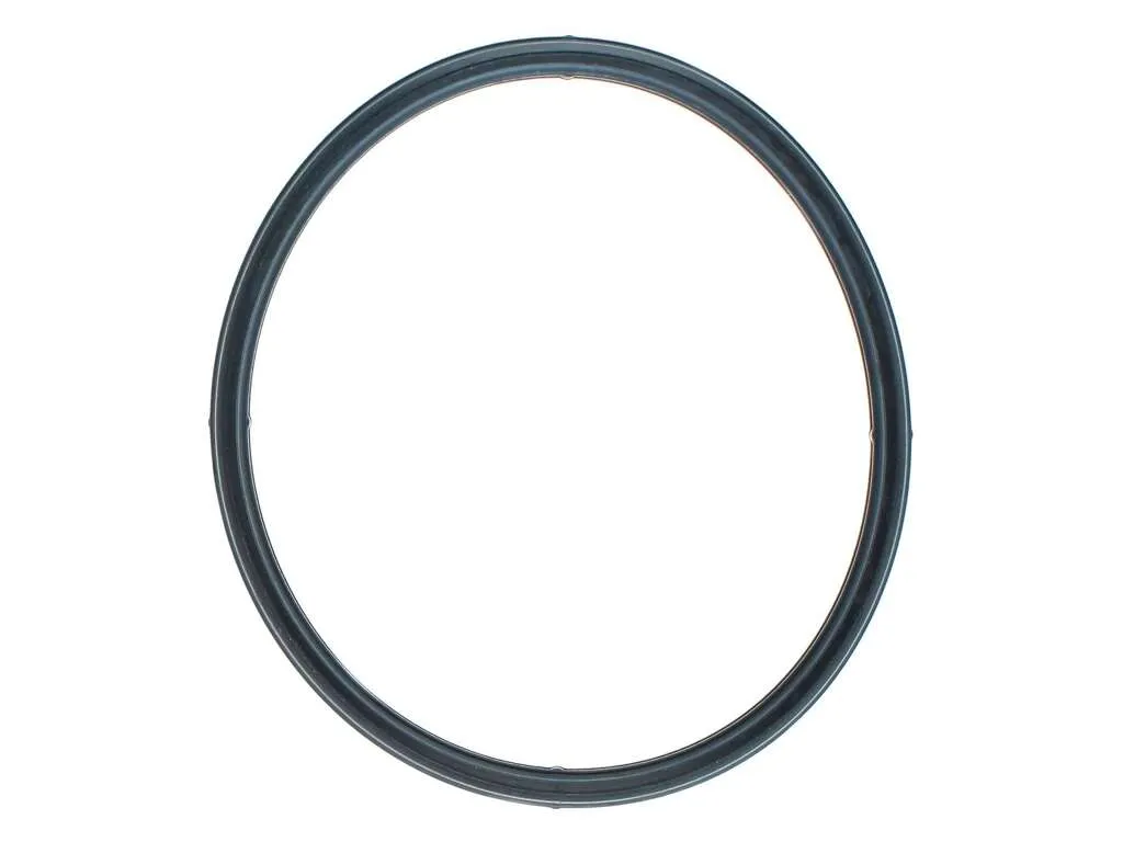 2018 Lexus ES300h Engine Coolant Thermostat Seal Mahle