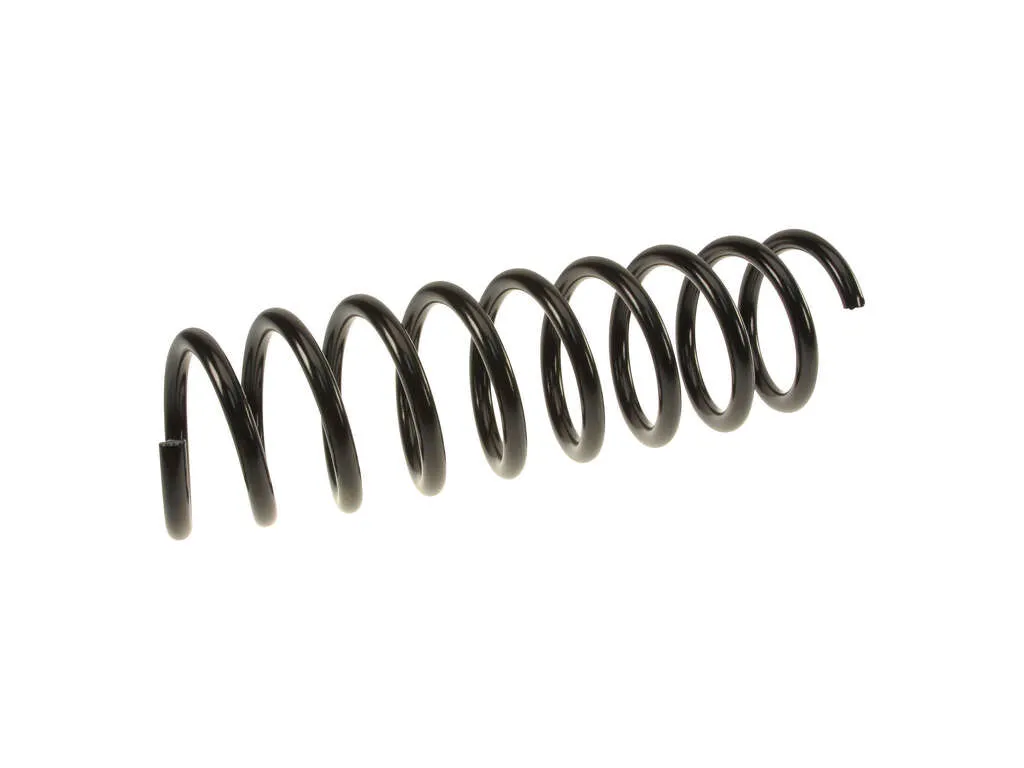 2000 BMW 528i Coil Spring  - Rear Lesjofors