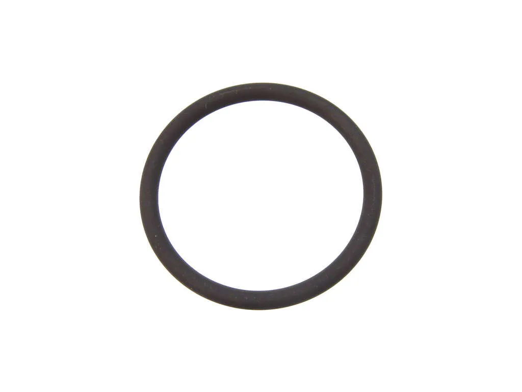 1985 Jaguar Vanden Plas Engine Camshaft Guide O-Ring OEQ