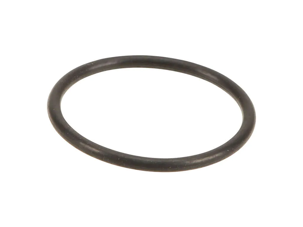 2002 Chevrolet Silverado 3500 Engine Coolant Outlet Gasket 8 Cyl 6.6L Fel-Pro