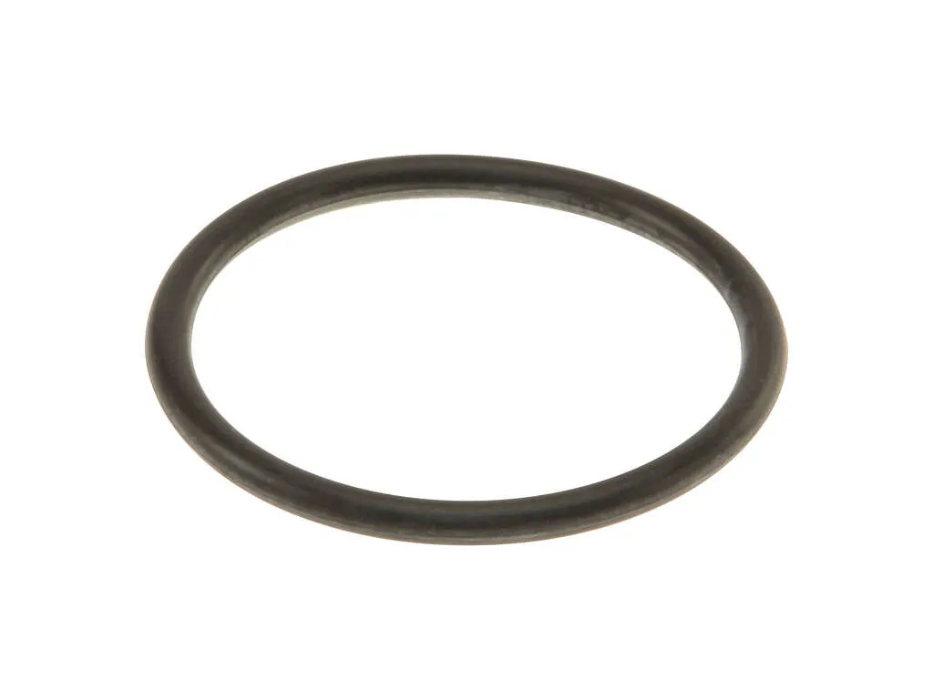 1972 Porsche 911 Fuel Pump Strainer O-Ring Genuine
