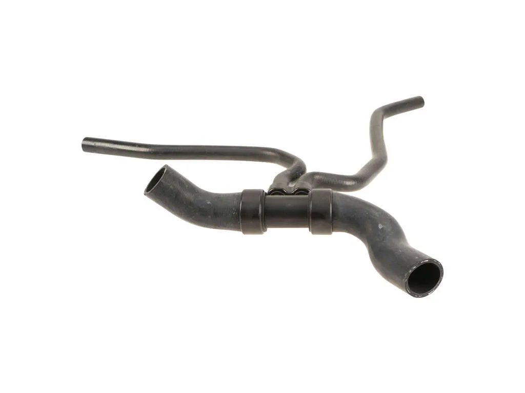 2002 Jaguar S-Type Radiator Coolant Hose  - Lower 6 Cyl 3.0L Rein