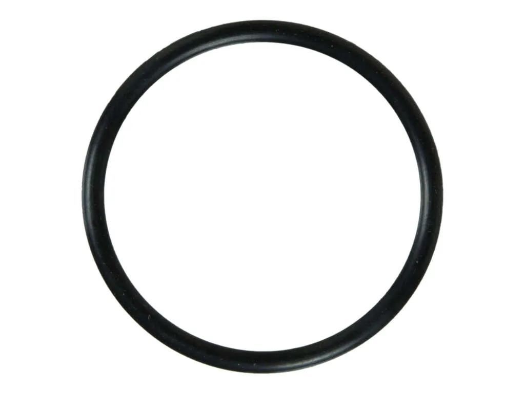 2004 Honda Civic Engine Coolant Water Outlet Seal 4 Cyl 2.0L Fel-Pro