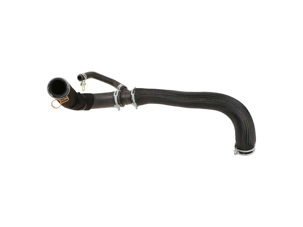 2012 Dodge Charger Radiator Coolant Hose  - Lower 8 Cyl 5.7L Mopar