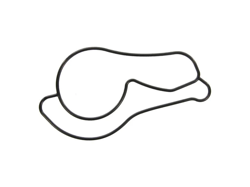 2004 Acura RSX Engine Water Pump Gasket Fel-Pro