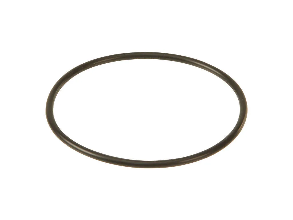 2002 Chevrolet Silverado 3500 Engine Coolant Thermostat Seal 8 Cyl 6.0L Genuine