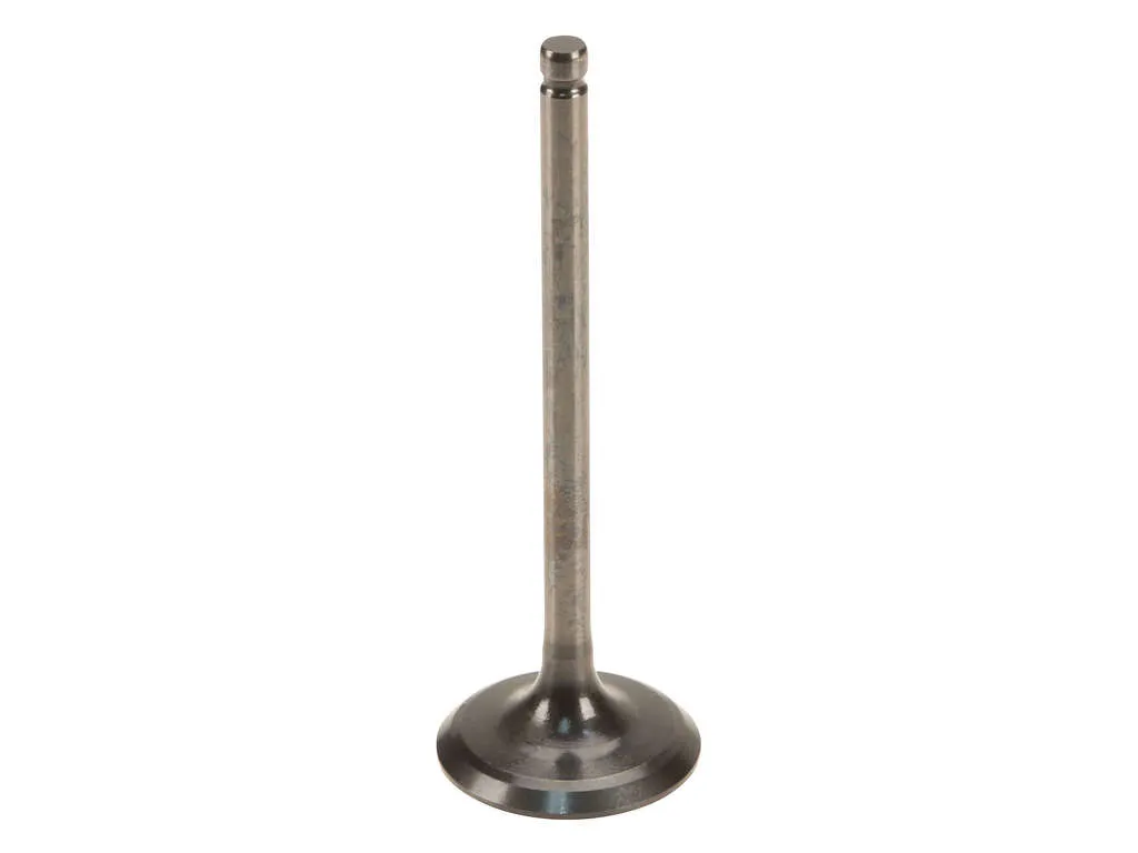 2000 Lexus GS300 Engine Intake Valve Genuine