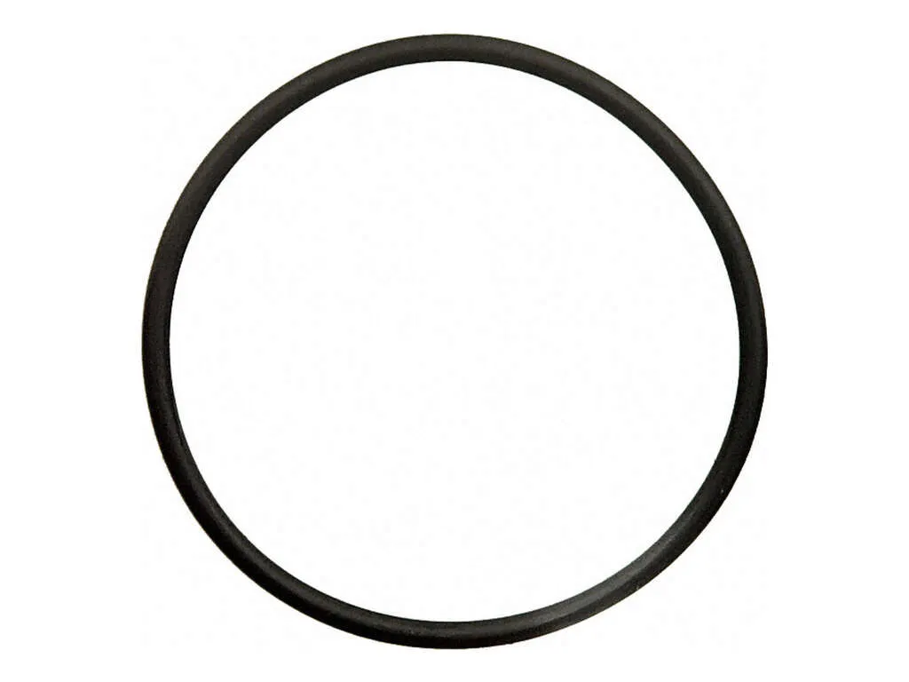 2001 Ford Explorer Engine Coolant Thermostat Seal 6 Cyl 4.0L Fel-Pro