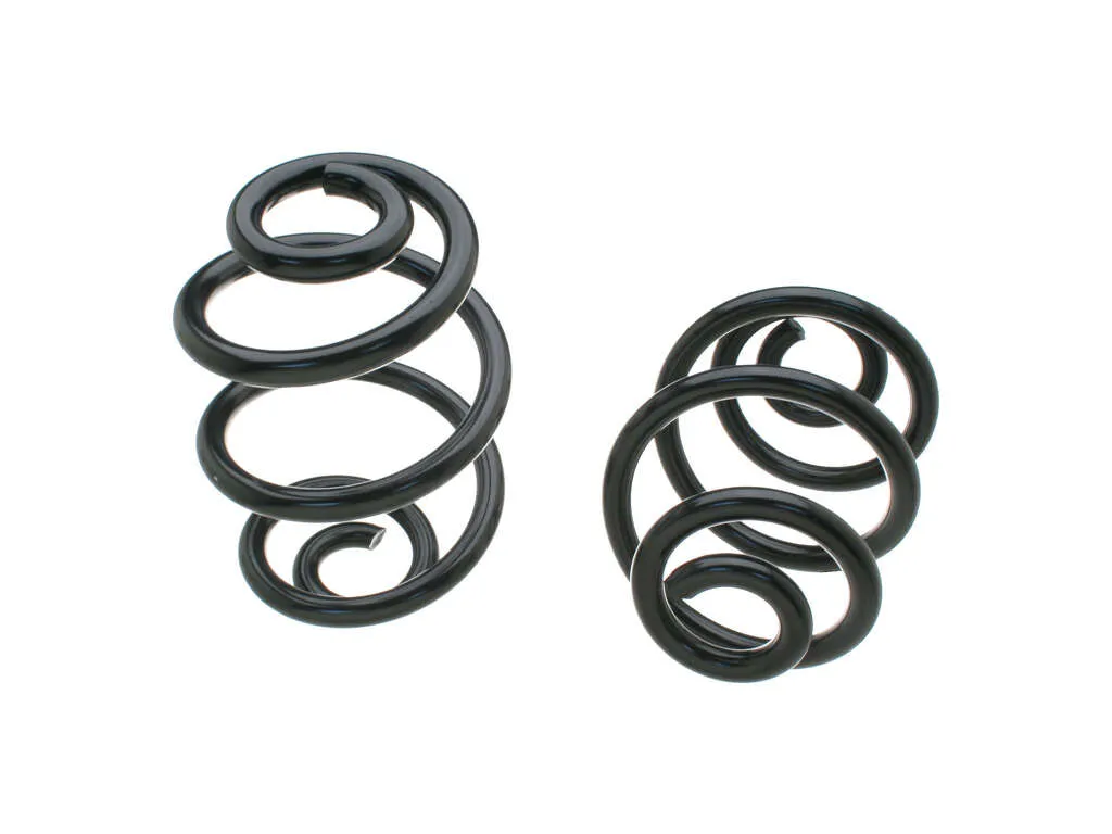 1994 BMW 325is Coil Spring Set  - Rear Lesjofors