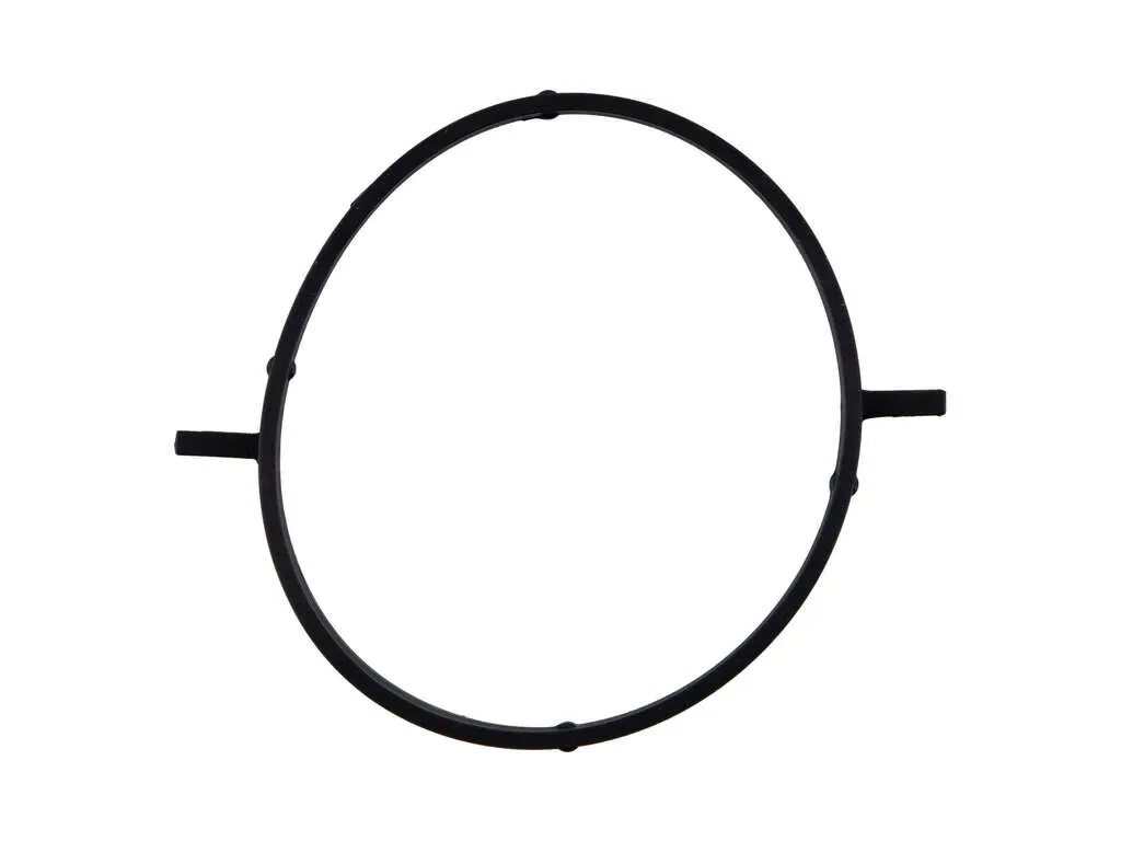2012 Nissan Juke Fuel Injection Throttle Body Mounting Gasket Fel-Pro