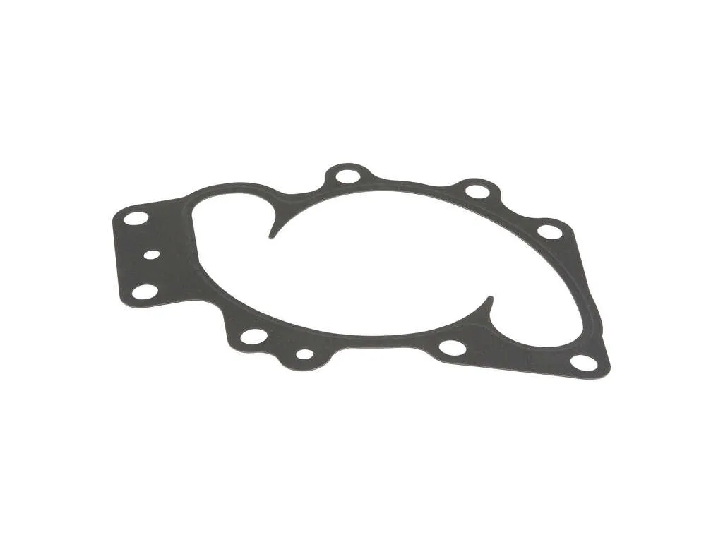 2004 Subaru Outback Engine Water Pump Gasket 6 Cyl 3.0L Ishino Stone