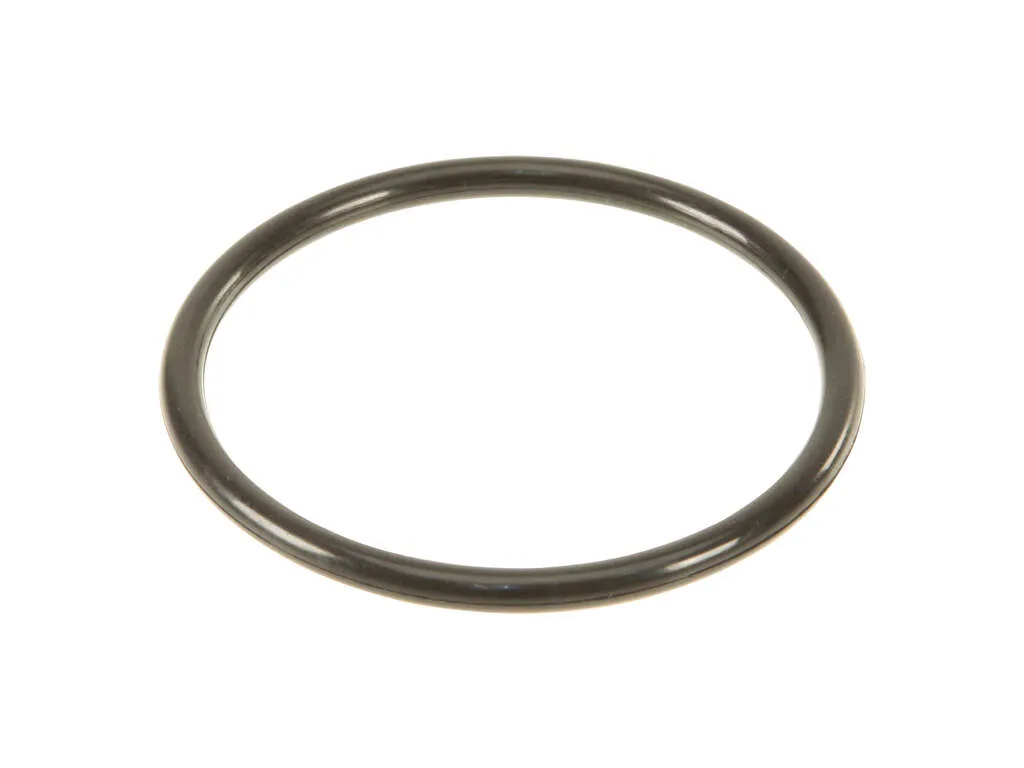 1985 Nissan Micra Fuel Tank Sending Unit Gasket Genuine