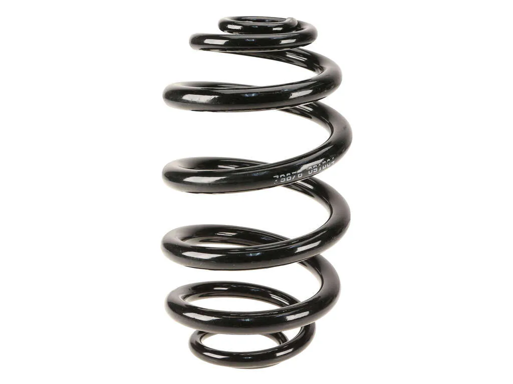 2004 BMW X3 Coil Spring  - Rear Lesjofors