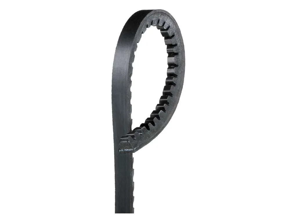 1981 Volvo 244 Accessory Drive Belt  - Alternator Dayco