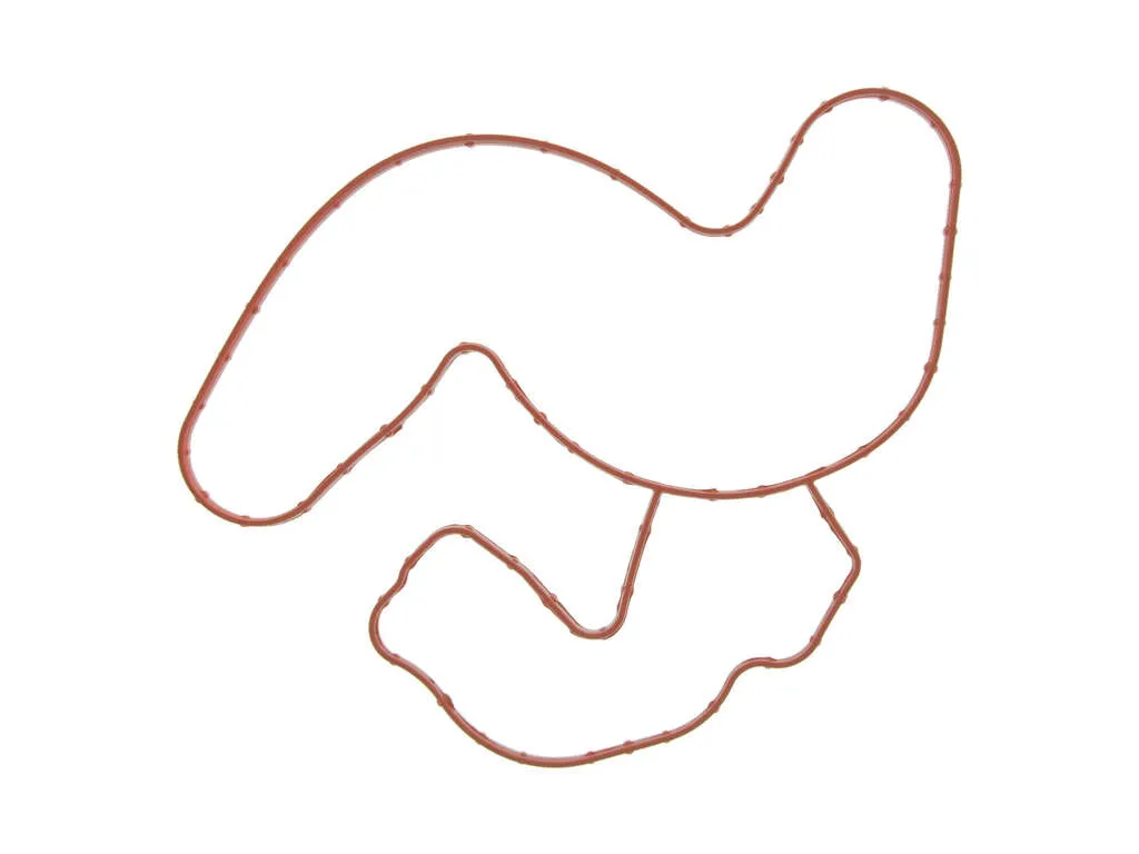 2020 Ram 1500 Classic Engine Water Pump Gasket 8 Cyl 5.7L Fel-Pro