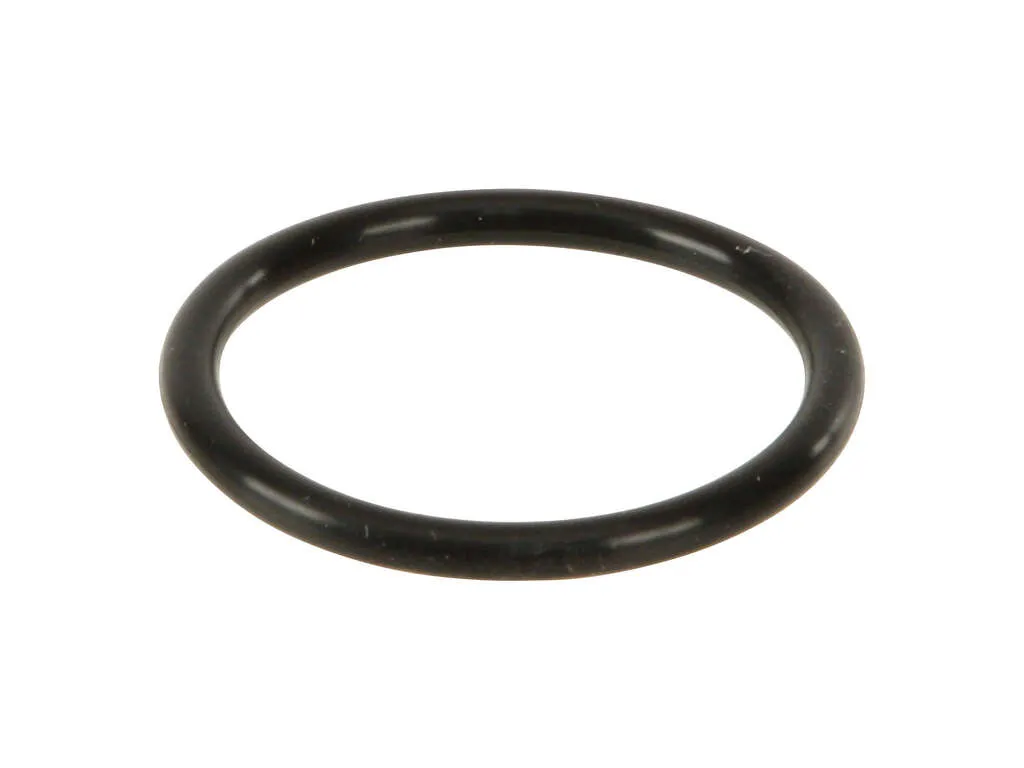 2008 Mini Cooper Engine Water Pump Gasket Victor Reinz