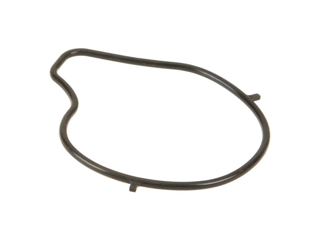 2012 Mazda 2 Engine Water Pump Gasket Ishino Stone