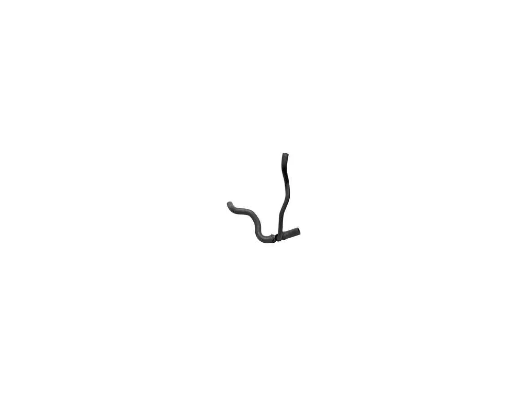 2005 Ford F-150 Radiator Coolant Hose  - Lower 6 Cyl 4.2L Dayco