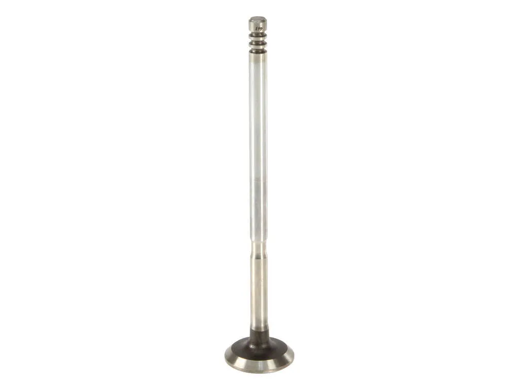 2007 Mini Cooper Engine Exhaust Valve AE