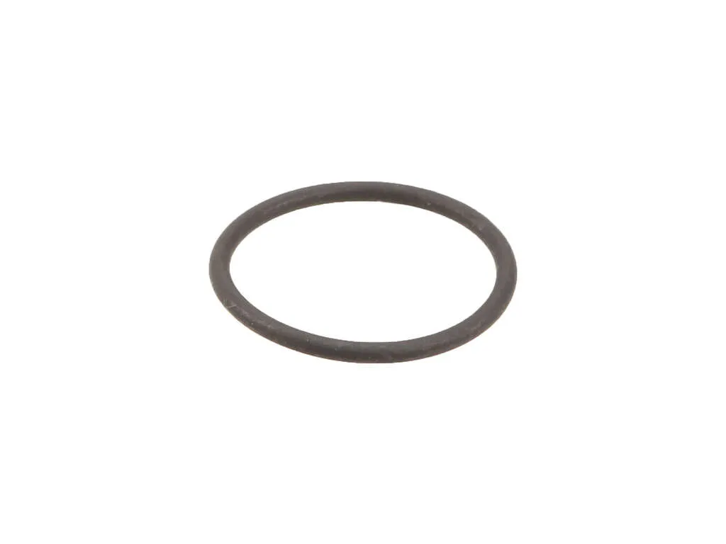1993 Mercedes-Benz 300CE Fuel Pump Strainer O-Ring Genuine